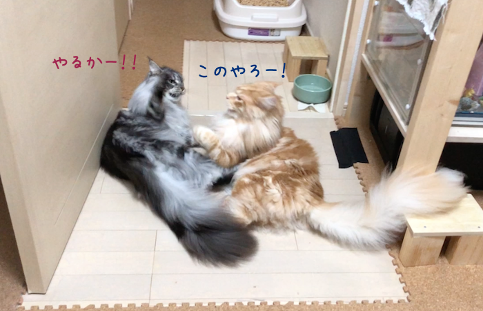 f:id:chikojirou:20180905214833p:plain