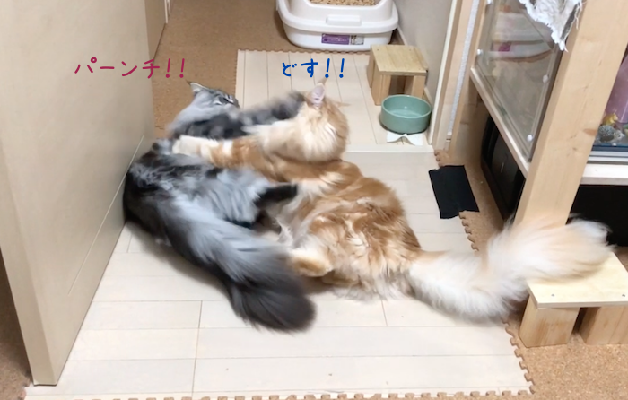 f:id:chikojirou:20180905215156p:plain