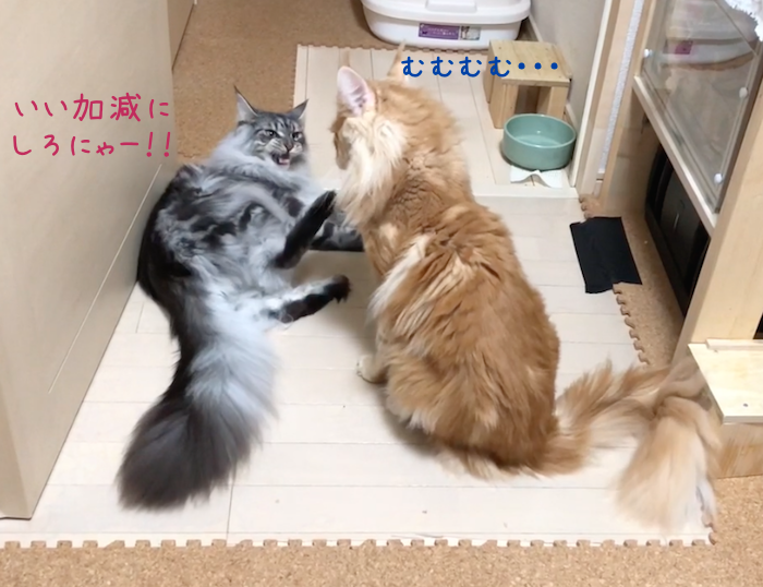 f:id:chikojirou:20180905215208p:plain