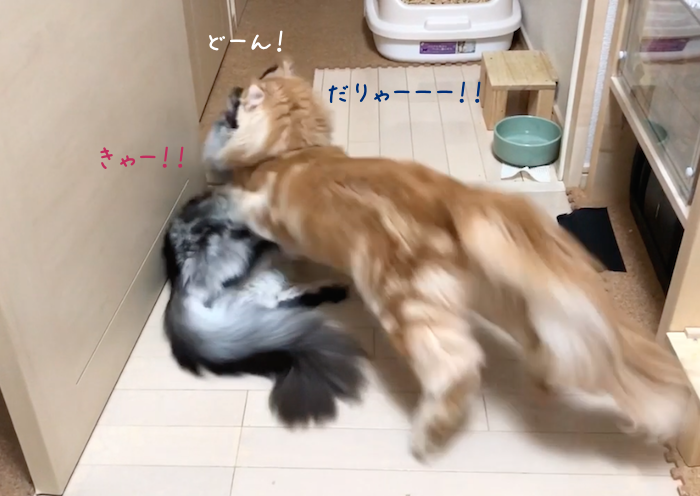 f:id:chikojirou:20180905215224p:plain