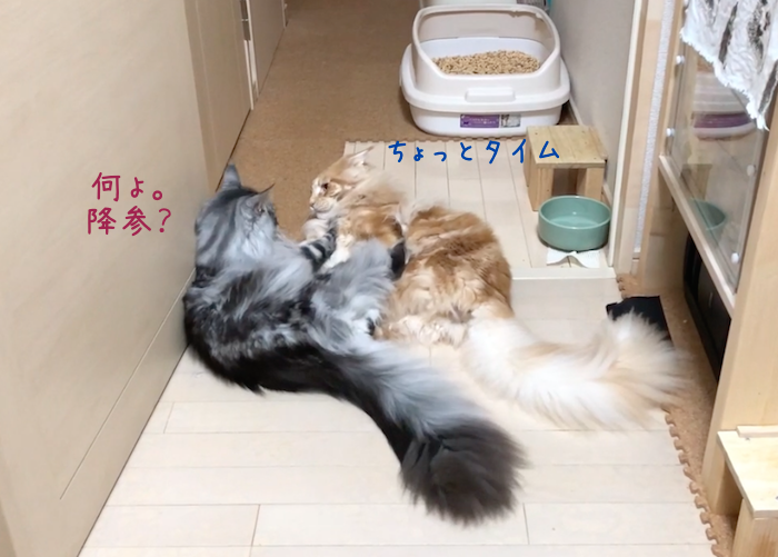 f:id:chikojirou:20180905215250p:plain