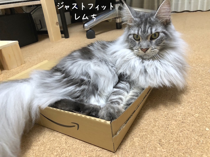 f:id:chikojirou:20180912215802j:plain