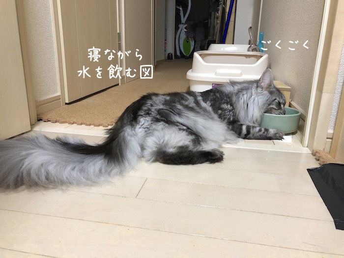 f:id:chikojirou:20180912215811j:plain