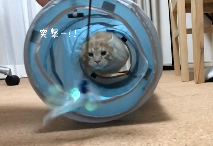 f:id:chikojirou:20180912215839p:plain