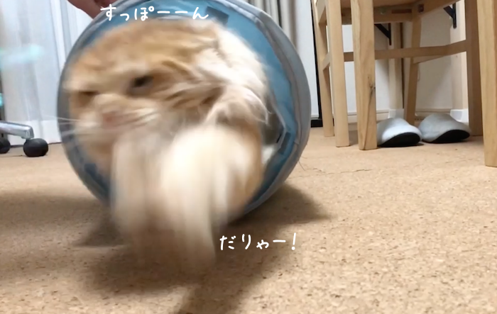 f:id:chikojirou:20180912215904p:plain