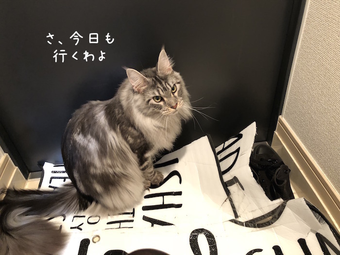 f:id:chikojirou:20180912220055j:plain