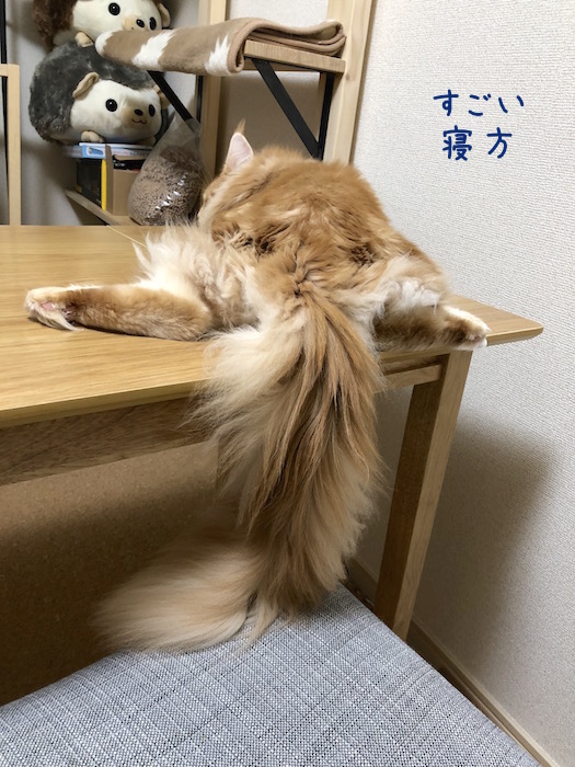 f:id:chikojirou:20180913214604j:plain