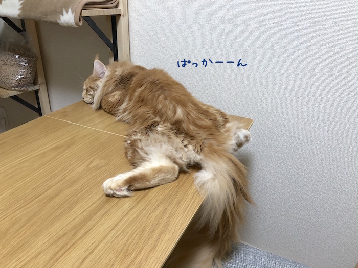 f:id:chikojirou:20180913214637j:plain