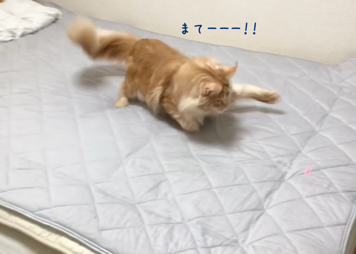f:id:chikojirou:20180913214933p:plain