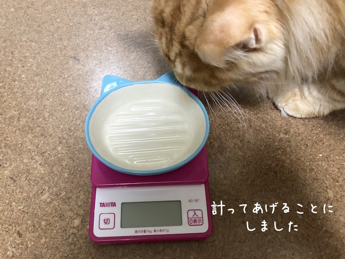 f:id:chikojirou:20180918213147j:plain