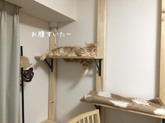 f:id:chikojirou:20180918213252j:plain