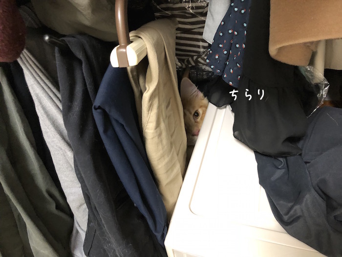 f:id:chikojirou:20180918213339j:plain