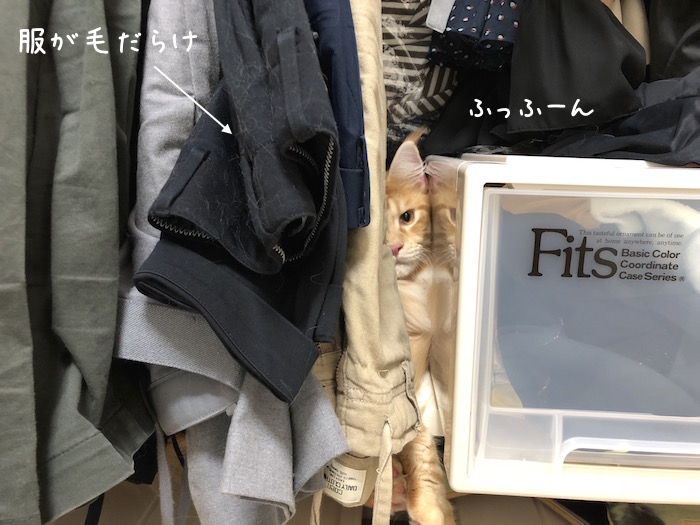 f:id:chikojirou:20180918213352j:plain