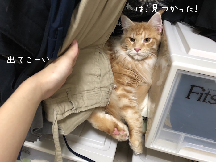 f:id:chikojirou:20180918213404j:plain