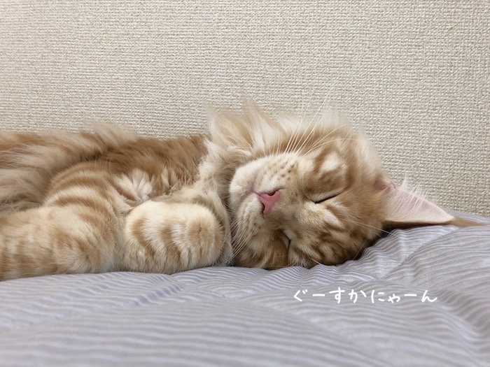 f:id:chikojirou:20180919215945j:plain