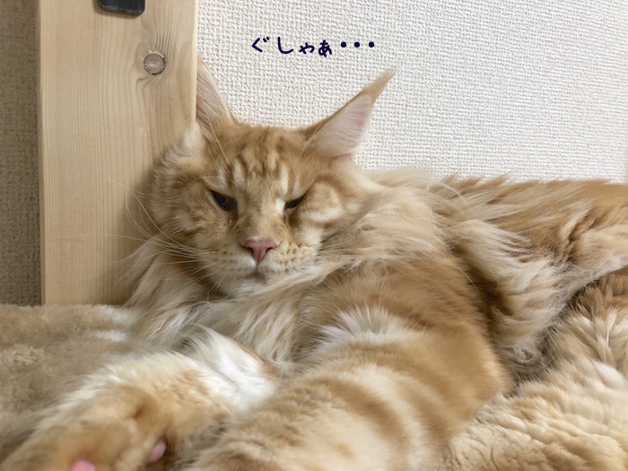 f:id:chikojirou:20180919220019j:plain