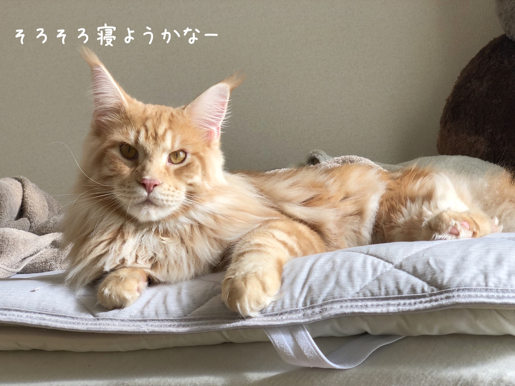f:id:chikojirou:20180928212416j:plain
