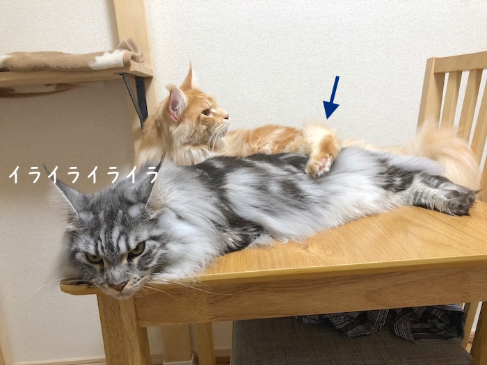 f:id:chikojirou:20180928212436j:plain