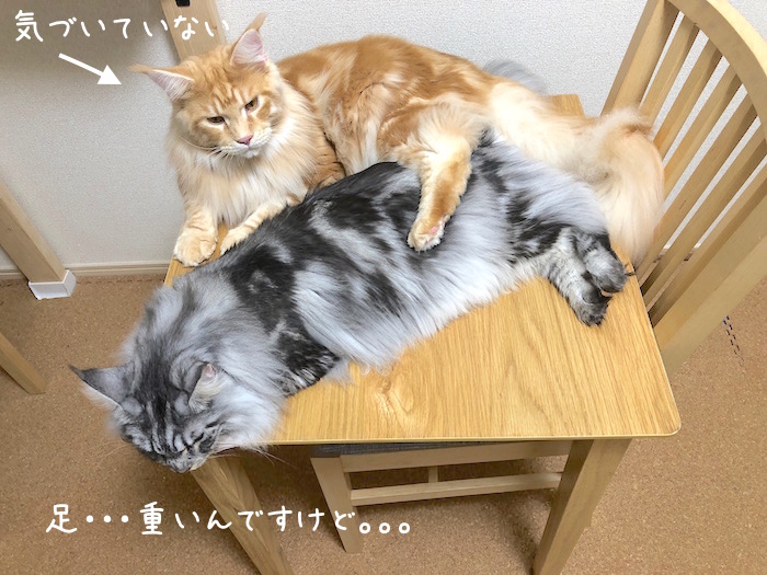 f:id:chikojirou:20180928212447j:plain