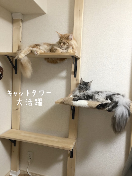 f:id:chikojirou:20181001204826j:plain