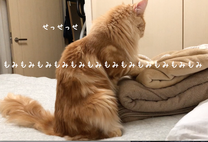 f:id:chikojirou:20181001204838p:plain