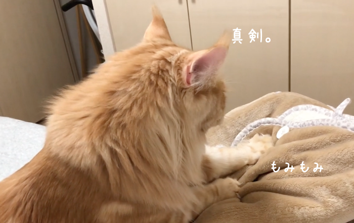 f:id:chikojirou:20181001204852p:plain