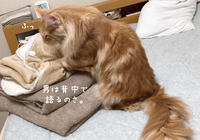 f:id:chikojirou:20181001204905p:plain