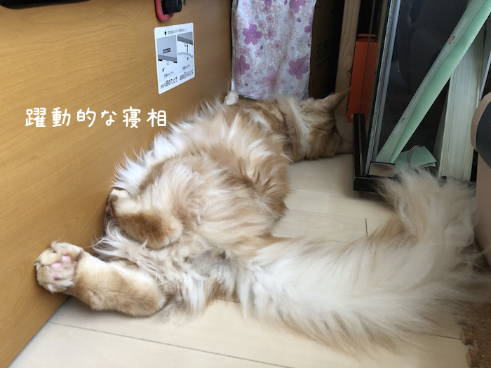 f:id:chikojirou:20181001204950j:plain