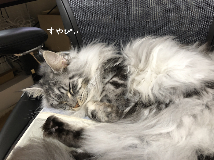 f:id:chikojirou:20181001205007j:plain