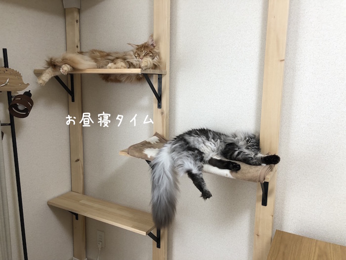 f:id:chikojirou:20181003174309j:plain f:id:chikojirou:20181003174309j:plain