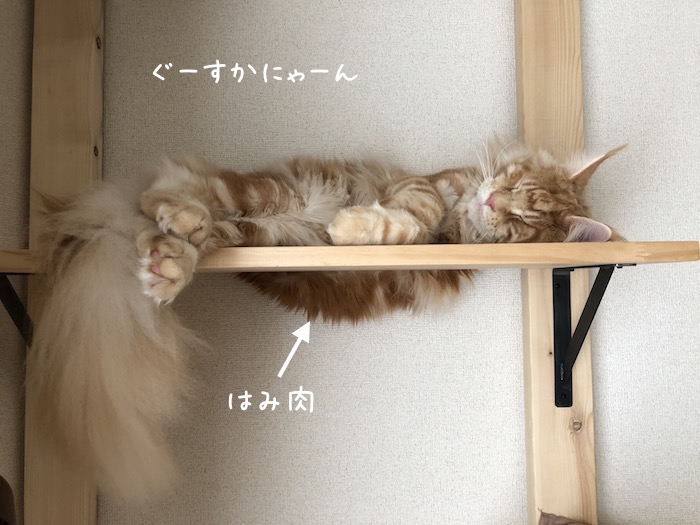 f:id:chikojirou:20181003174319j:plain f:id:chikojirou:20181003174319j:plain