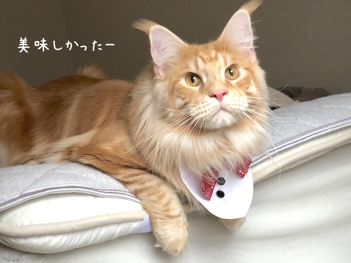 f:id:chikojirou:20181003174414j:plain f:id:chikojirou:20181003174414j:plain