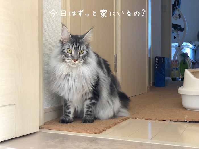 f:id:chikojirou:20181003174521j:plain f:id:chikojirou:20181003174521j:plain