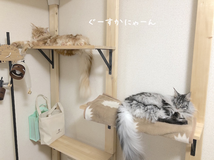 f:id:chikojirou:20181103111612j:plain
