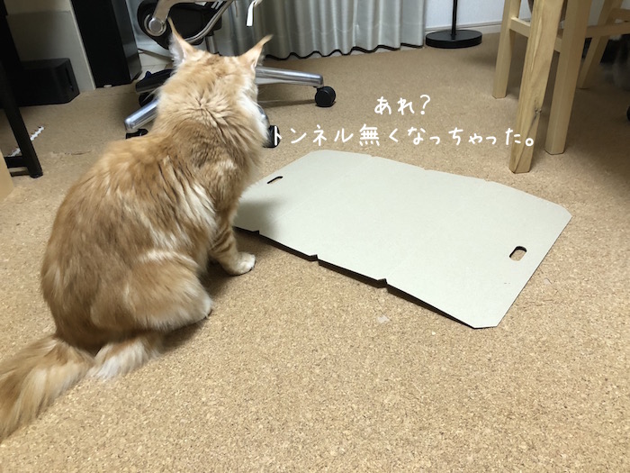 f:id:chikojirou:20181106212409j:plain f:id:chikojirou:20181106212409j:plain