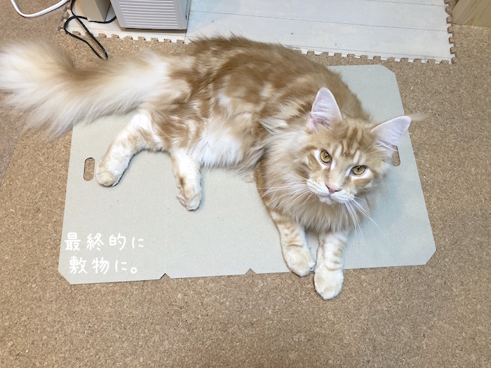 f:id:chikojirou:20181106212444j:plain f:id:chikojirou:20181106212444j:plain