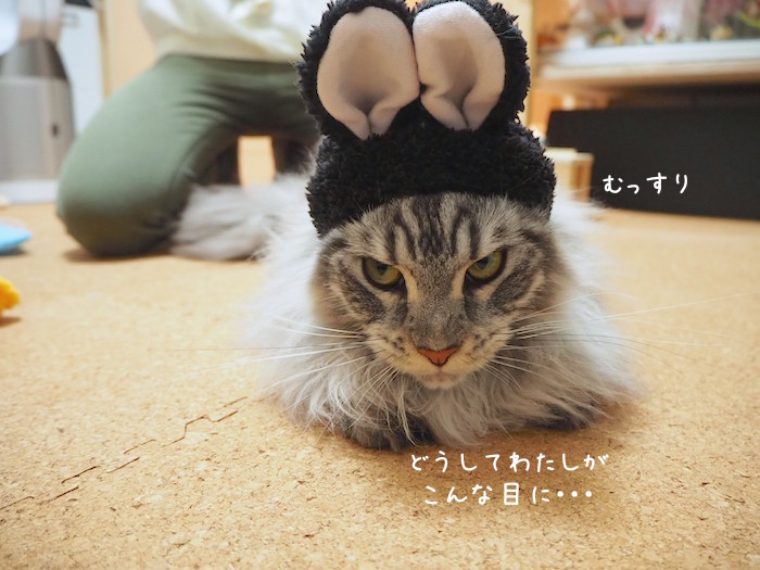 f:id:chikojirou:20181111200319j:plain