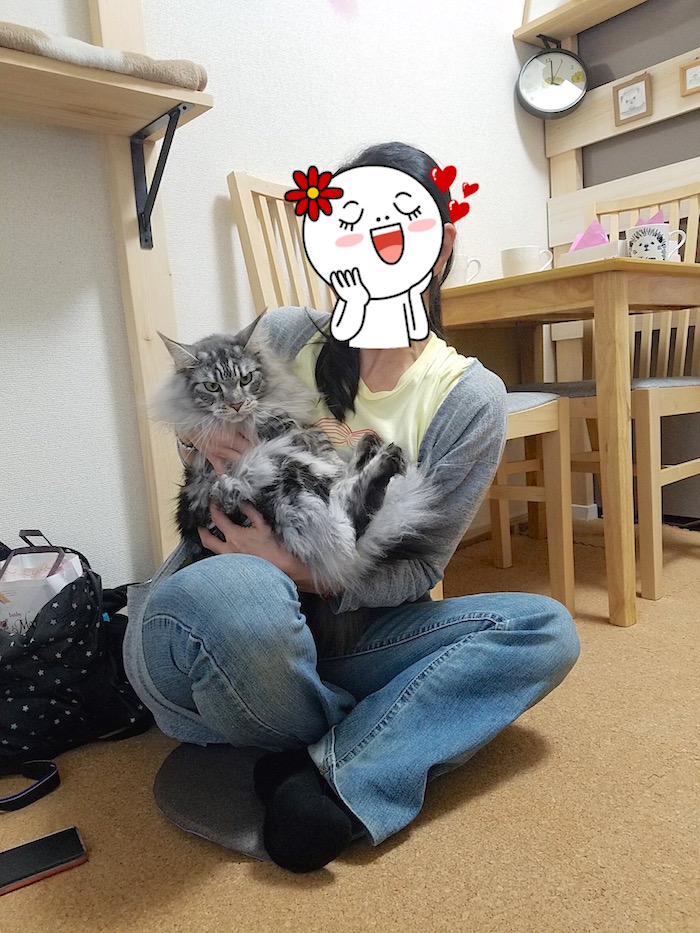 f:id:chikojirou:20181111200432j:plain
