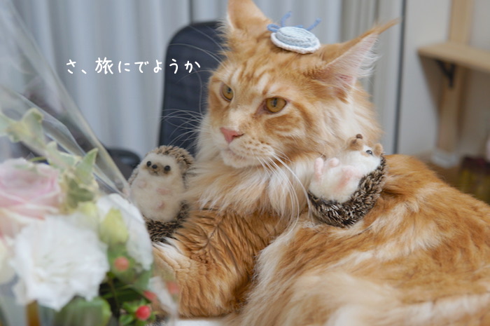 f:id:chikojirou:20181111200517j:plain