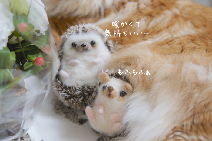 f:id:chikojirou:20181111200549j:plain