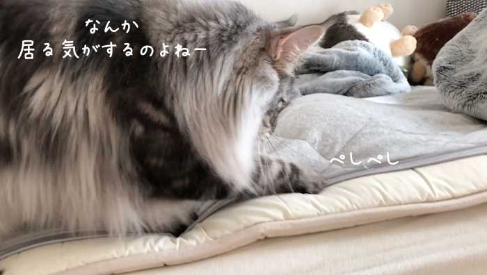 f:id:chikojirou:20181113215605p:plain