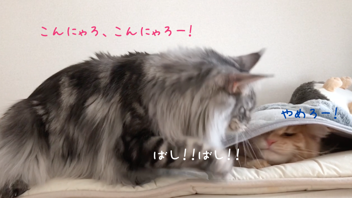 f:id:chikojirou:20181113215729p:plain