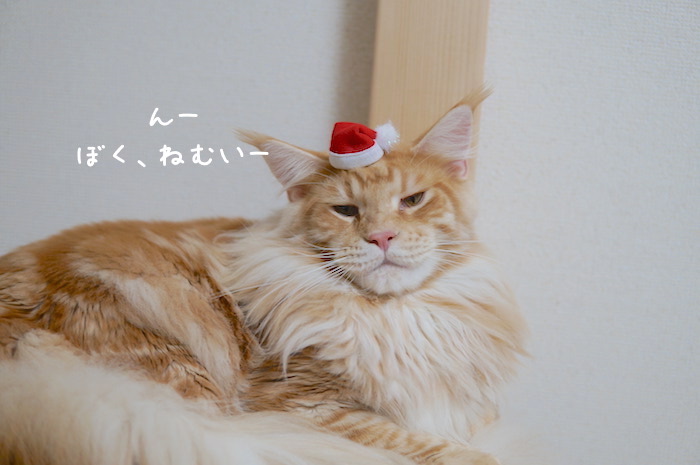f:id:chikojirou:20181118202844j:plain f:id:chikojirou:20181118202844j:plain