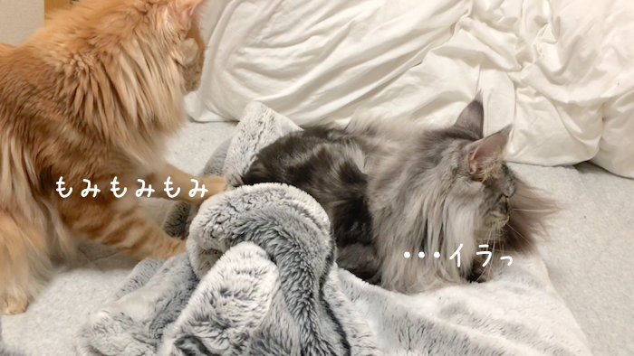 f:id:chikojirou:20181120212352p:plain