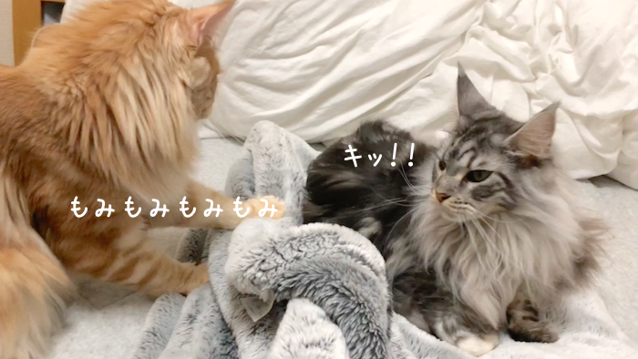 f:id:chikojirou:20181120212406p:plain