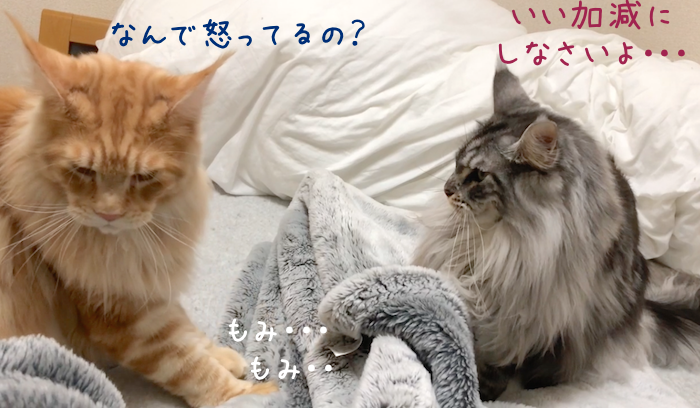 f:id:chikojirou:20181120212534p:plain