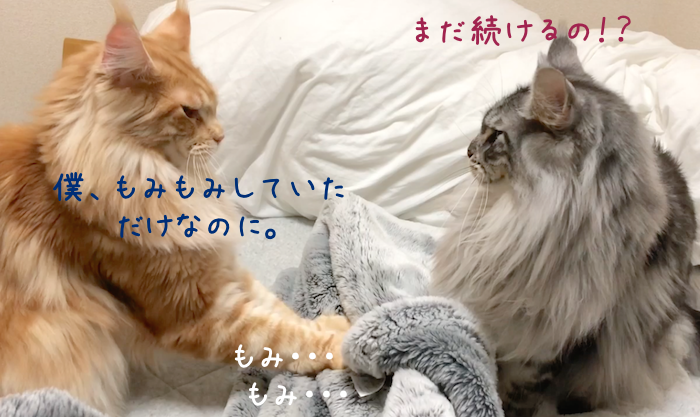 f:id:chikojirou:20181120212549p:plain