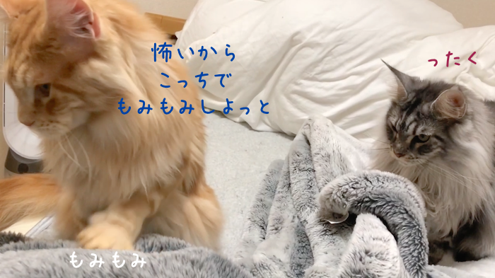 f:id:chikojirou:20181120212608p:plain