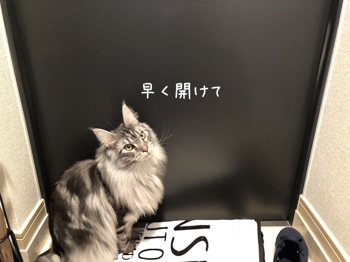 f:id:chikojirou:20181206210709j:plain