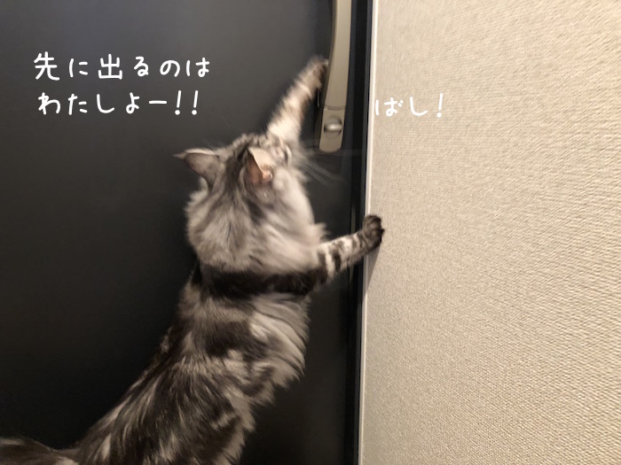 f:id:chikojirou:20181206210747j:plain